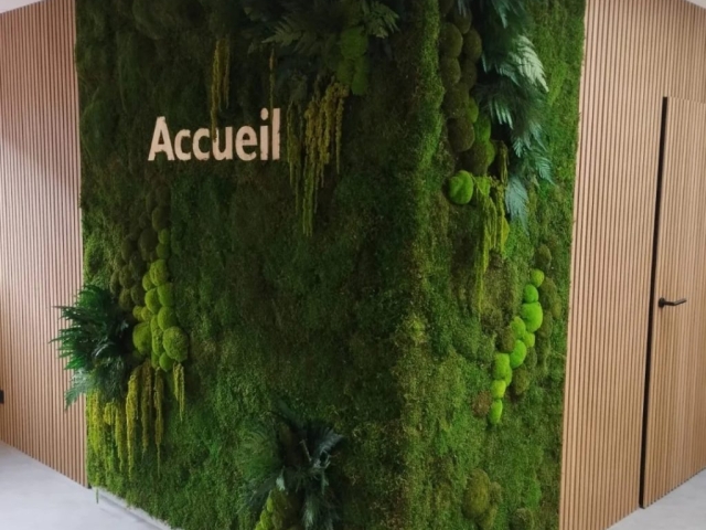 mur vegetal